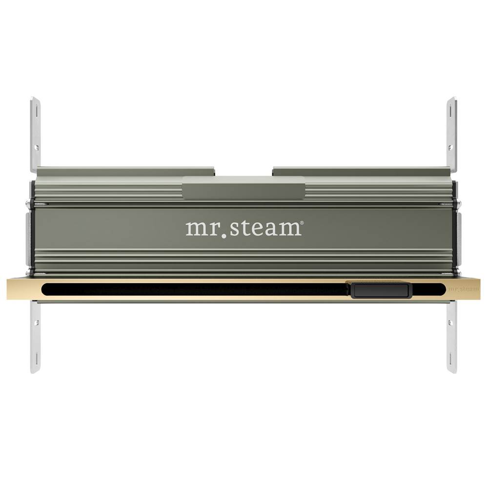 Mr. Steam Linear 16 in. W. Steamhead with AromaTherapy Reservoir in Polished Brass